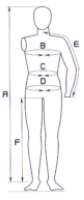 model1.PNG